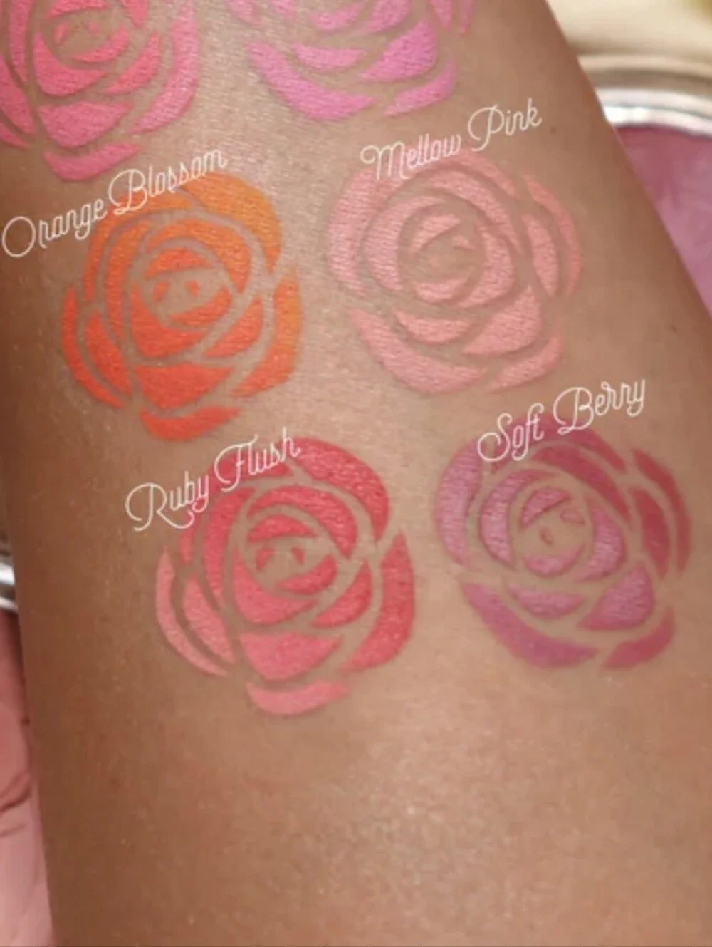 🧚‍♀️#08 SOFT BERRY Moira Signature Ombre Blush NWT